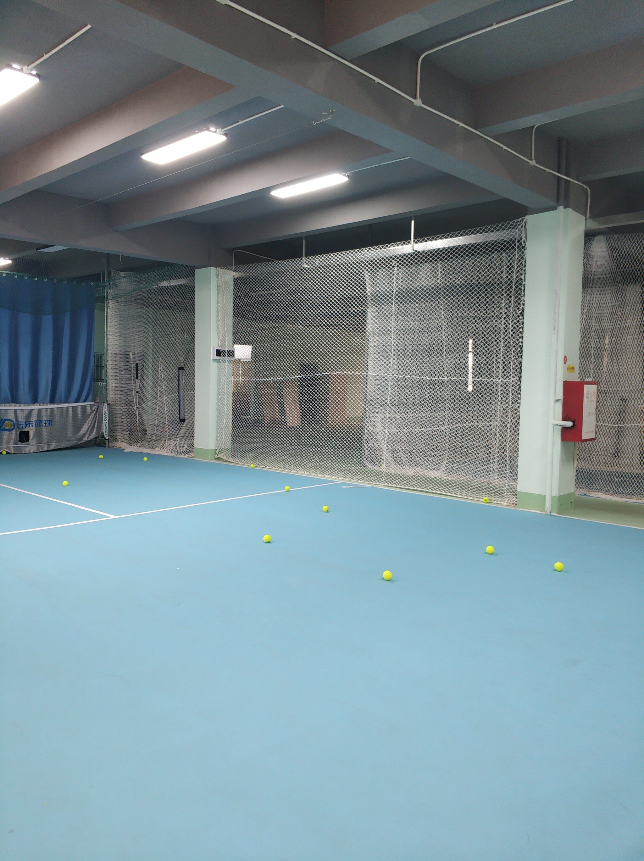 球队的表现 球队的表现